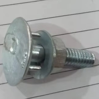 Tornillo de Cabeza Abombada / Tornillo de Cabeza Abombada Allen / Tornillo de Cabeza Abombada con Rosca Interna