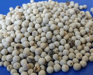 พริกไทยขาวเวียดนาม อบแห้งทั้งเม็ด สมุนไพรและเครื่องเทศสำหรับส่งออก แปรรูปดิบ ร้อนแรง 550 กรัม/ลิตร OEM/ODM สอบถามได้ทุกเกรด ออร์แกนิค - Product Image 5