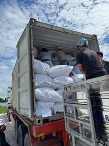 Vente de fleurs de pois papillon en vrac du fournisseur vietnamien/thé de pois bleu papillon bleu séché bon prix et de haute qualité - Product Image 3