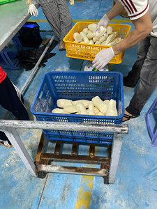 Rodajas de Taro Congeladas Naturales, Peladas, Altas en Fibra, Vegetales, para Distribución Mayorista, Soluciones Disponibles Ahora para el Mercado Minorista Global - Product Image 2