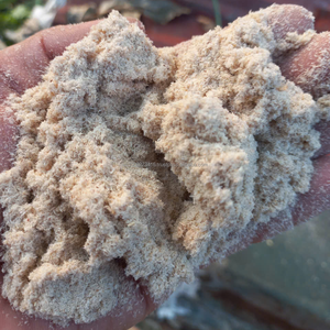 Polvo de Madera de Bambú 100% KMI, Malla 80-100, para WPC/PVC/HDPE/PP, Humedad Natural del 8%, Vida Útil de 12 Meses, Proveedor de Vietnam - Product Image 4