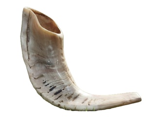 Instrumento de Oración Judío Judaica de Concha Marina Orgánica Pulida Natural, Arte Hecho a Mano y Objeto de Colección Estilo Ángel del Amor - Product Image 4