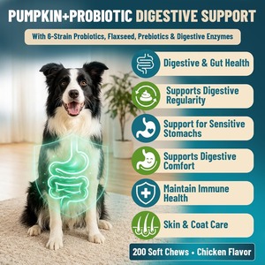 Tabletas Probióticas de Calabaza para Perros, 6 Probióticos, Salud Digestiva e Intestinal, Apoyo Inmunológico, Absorción Rápida, Suplemento Seguro Sin Granos - Product Image 4