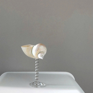 Copas de Vino Personalizadas con Forma de Concha, Copas de Vino para Boda, Copas de Cóctel para Despedida de Soltera, Copas de Martini Hechas a Mano - Product Image 2