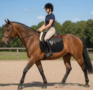 Meilleur prix du fabricant, tissu satiné, tapis de selle d'équitation, saut d'obstacles, toutes tailles et couleurs disponibles - Product Image 2
