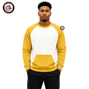 Alpha en gros |   Sweat-shirt en polaire uni pour homme de la fraternité Phi Embroidery, hiver |   Col rond personnalisé brodé sur le devant, 100% coton - Product Image 1