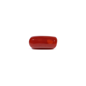 Natural Red Coral Oval Cabochon Loose Gemstone-5.31 Carat Certified Wholesale - Product Image 1