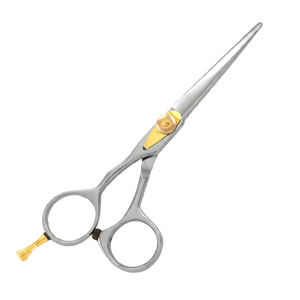 Ciseaux à cheveux en acier inoxydable de haute qualité, ciseaux de salon, lames droites, vis dorée, manche argenté pour la coupe de cheveux - Product Image 1