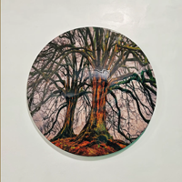 Décoration Murale Ronde en Métal Multi-Miroirs, Disques Floraux Dorés Rose en Écailles de Poisson, Panneau Artistique Suspendu pour Salon et Chambre à Coucher