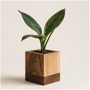 Modern Minimalist Dual-Tone Wooden Cube Planter Handcrafted Walnut & Pine Wood Flower <b>Pot</b> for Office Desk Succulent <b>Holder</b> - Product Image 1