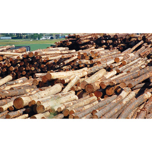 ไม้เนื้ออ่อนพรีเมี่ยมท่อนไม้ท่อนไม้ท่อนไม้ทนทานเหมาะสำหรับงานปูพื้นเฟอร์นิเจอร์และงานผลิตไม้ - Product Image 3