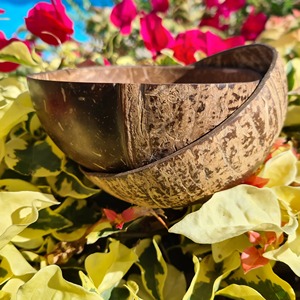 Cuencos de cáscara de coco hechos a mano, servicio OEM y ODM, suministro de fábrica, envío internacional, uso desechable ecológico - Product Image 2