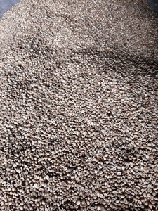 เมล็ดกาแฟโรบัสต้าคุณภาพสูง PHALCO เกรด 1 ขนาดกรอง 16/18 จากเวียดนาม ราคาดีที่สุด พร้อมส่งออก บรรจุในถุงกระสอบ - Product Image 4