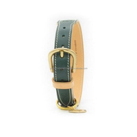 Collier pour chien en cuir pleine fleur sur mesure, couleur verte, surpiqûres contrastées, avec boucle finition laiton, anneau en D et rivets