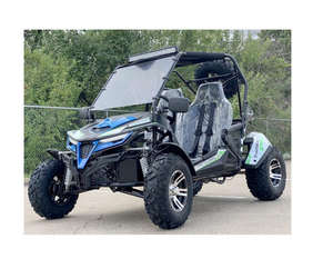 Nuevo TrailMaster Cheetah 200EX EFI, Go Kart Todoterreno - Product Image 1