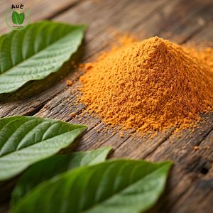 <b>Best</b> Seller High Purity Organic 7-OH MIT Thai Herbal Extract Powder 80% Extract Natural Planting Vacuum Packed Thailand - Product Image 6