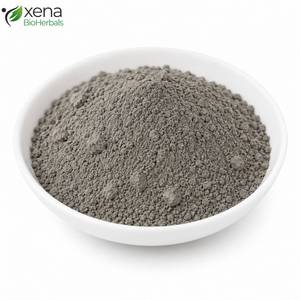 Fournisseur Botanique Certifié : Poudre d'Extrait de Saraca Indica, Matière Première Standardisée pour Formulations Ayurvédiques, Vente en Gros - Product Image 1