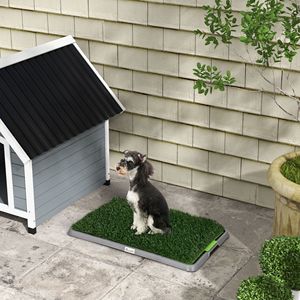 Confezione da 2 Tappetini in Erba Sintetica per Cani Taglia XXL con Vassoio, Stile Semplice, in Fibra, per Addestramento Cuccioli, 66 x 41 cm - Product Image 2