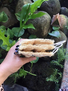 Natural Dried Loofah Bath <b>Sponge</b> Oval Shape Exfoliating Body Scrubber for Adults Plant Based <b>Shower</b> Mesh Gourd - Product Image 5