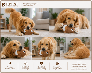 Jouet pour chien en cuir suédé artisanal, vente en gros, fournitures pour animaux de compagnie, Divine International - Product Image 4