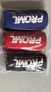 Protections de tibia et coussinets d'entraînement Muay Thai en cuir et PU avec protection de base pour MMA et boxe, ajustement universel - Product Image 2