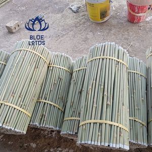 Très demandés 2026 Poteaux de bambou de qualité supérieure pour piquets agricoles et supports de construction Durables, flexibles, faciles à couper - Product Image 3