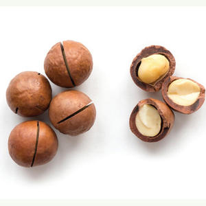Nueces de Macadamia Crudas del Reino Unido en Bolsas, las Más Vendidas, Crudas y Tostadas para Consumo Humano, Núcleo de Nuez de Macadamia - Product Image 3