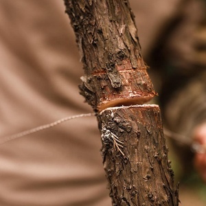 Scie à fil diamanté portable : Chaîne en acier inoxydable robuste pour la coupe rapide des branches, outil <span class=keywords><strong>de</strong></span> survie et d'extérieur - Product Image 4