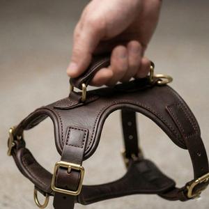 Arnés de Cuero Personalizado para Perro, Resistente, Ajustable, Tipo Chaleco, Sin Tirones, para Entrenamiento y Paseo, Accesorios para Perros de 20 kg+ - Product Image 2