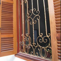 Cadre de fenêtre en fer forgé poli décoratif moderne sur mesure pour villa, design de grille métallique extérieure EURO IRON DOOR, garantie 2 ans