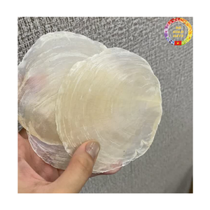 Capiz <b>Shell</b> Chips | Natural Round White <b>Shell</b> | Not Drilled for <b>Lighting</b> Crafts | Manufacturer Price - Product Image 6