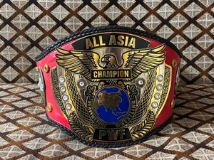 Ceinture de championnat PWF ALL ASIA MMA - Légère, en alliage de zinc, unisexe - Product Image 3