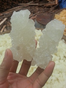 Natural Yellow Crystal Rock Sugar Premium Cane Sugar Cubes Bulk Wholesale for Beverage Dessert and Cooking - Ms. Tarina - Product Image 4