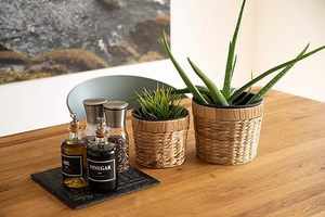 Juego Ecológico de 3 Macetas de Jacinto de Agua con Revestimiento Impermeable, Estilo Rústico, Más Vendidas para Hogar, Jardín, Interior y Exterior - Product Image 4