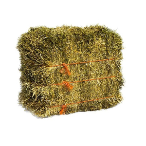 Heno de Alfalfa de Alta Calidad, Forraje para Animales, Nutrición para Ganado, Caballos, Vacas Lecheras, Venta al Por Mayor, Fabricante, Proveedor - Product Image 1