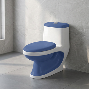 WC monobloc moderne bicolore en céramique avec lavabo intégré pour projets de salle de bain de luxe contemporains - Product Image 6
