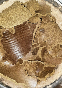 อัดเม็ดขี้วัวธรรมชาติ ฮาวาน ปูจา ปุ๋ยอินทรีย์ เป็นมิตรกับสิ่งแวดล้อม ก้อนกอบาร์แห้ง ใช้สำหรับทำอาหาร ให้ความร้อน พิธีกรรม จากอินเดีย คุณภาพพรีเมียม - Product Image 5