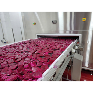 Tranches, dés, cubes et demi-coupes de fruit du dragon surgelé IQF de qualité supérieure sélectionnées, fruit sucré, emballage sous vide, vente en gros, approvisionnement direct usine - Product Image 1