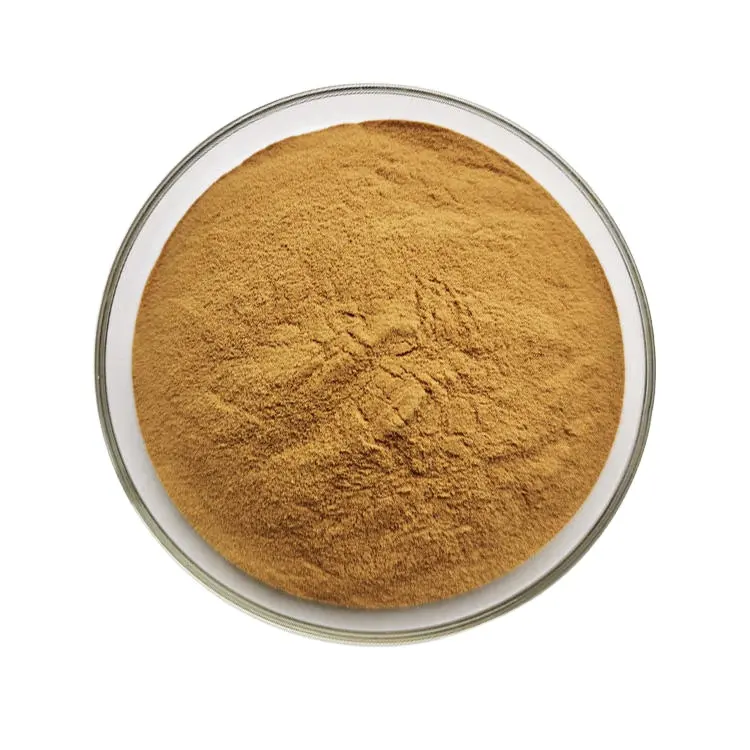 Warehouse Supply Natural 3%-5% Rosemarinic Acid Balm Extract