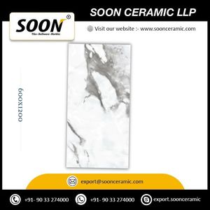 New Modern Design ALBINO-GRIS 600x1200 High Gloss Porcelain Floor <b>Tiles</b> from India - Product Image 4