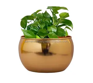 Apple Metal Plant Pots Indoor Planter Flower Pots For Farm Balcony Garden Indoor outdoor decoration Customizable