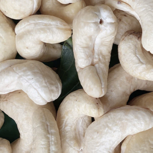 Noix de cajou en gros à prix abordable WW180, WW240, WW320, LP Noix de cajou brutes, amandes de cajou, délai de livraison court - Product Image 1