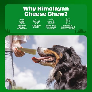 Friandises à mâcher pour chiens au fromage de lait de yak de l'Himalaya, barres moyennes, sans céréales, riches en protéines, naturelles, pour l'hygiène dentaire, pour chiens de taille moyenne, marque privée - Product Image 5