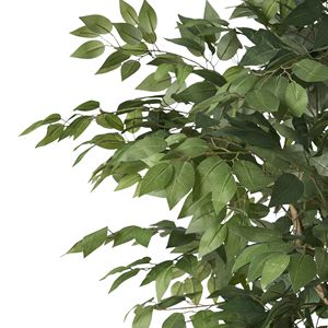 Albero di Ficus Artificiale da 70,9 Pollici per Arredamento Interno - Product Image 5