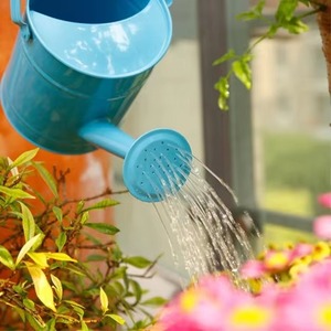 Arrosoir en métal blanc très demandé avec poignée en bois, outil de jardinage durable - Product Image 2