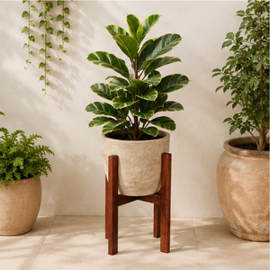 Wholesale Wooden Plant Stand Solid Wood Flower <b>Pot</b> <b>Holder</b> for Indoor Plants Minimalist Home Decor Display for Living Room - Product Image 5