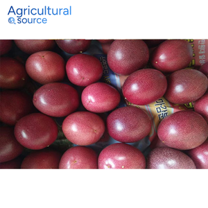 Meilleur Prix Fruit de la passion frais-Fruit de la passion aux fibres riches en saveur exotique naturellement sucrée-Pour l'été-De l'usine VietNam - Product Image 3