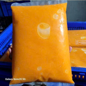 Purée de mangue surgelée directement de l'usine, fabricant vietnamien, export en vrac pour l'industrie alimentaire, pulpe de mangue - Product Image 4
