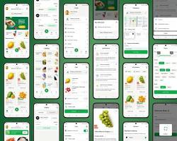 Aplicación de entrega de comestibles para compras en línea fáciles, pagos seguros, seguimiento en tiempo real y entrega rápida a domicilio. - Product Image 4