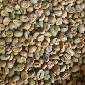 GRANOS DE CAFÉ ROBUSTA VERDE de Alta Calidad, Proceso de Pulido Húmedo, 100% Café Grado 1 de Vietnam al Mejor Precio al por Mayor - Product Image 1
